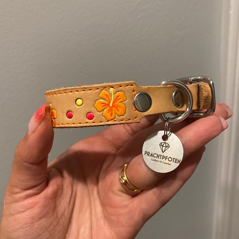 genuine leather hand painted dog collar - Picture 1 of 3